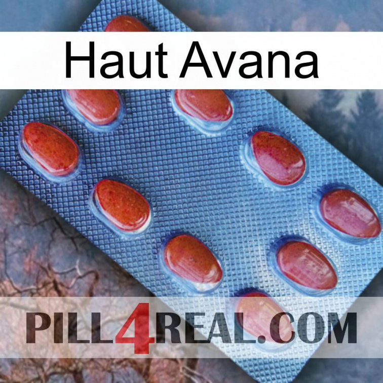 Top Avana 06